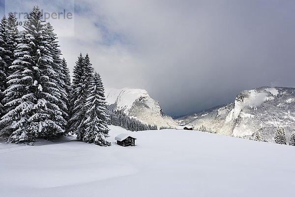 Kleines Landhaus in verschneiter Berglandschaft  im Rücken die Gipfel der Kanisfluh  Hittisau  Bregenzer Wald  Vorarlberg  Österreich  Europa