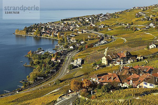 Weinberge im Herbst mit Blick auf das Weinbaudorf Cully  Lavaux  Kanton Waadt  Schweiz  Europa