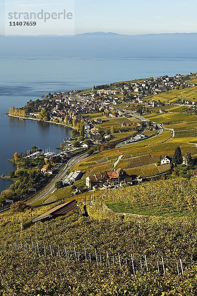 Weinberge im Herbst mit Blick auf das Weinbaudorf Cully  Lavaux  Kanton Waadt  Schweiz  Europa