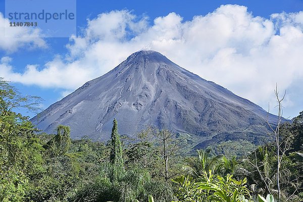 Vulkan Arenal  Vulkan-Nationalpark Arenal  La Fortuna  Provinz Alajuela  Costa Rica  Mittelamerika