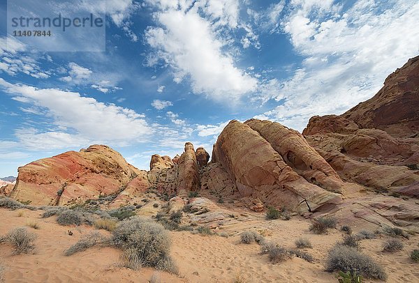 Orange-rote Felsformationen  Sandstein  White Domes Trail  Valley of Fire State Park  Mojave-Wüste  Nevada  USA  Nordamerika
