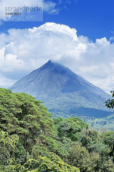 Vulkan Arenal hinter tropischem Wald  La Fortuna  Costa Rica  Mittelamerika