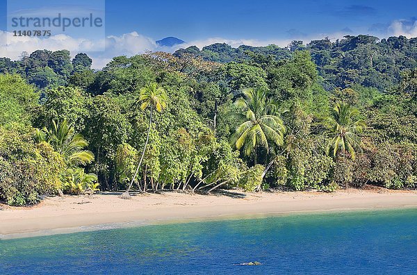 Strand  Manuel-Antonio-Nationalpark  Quepos  Costa Rica  Mittelamerika