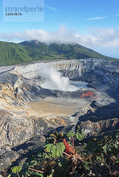 Caldera mit Kratersee  aufsteigender Dampf vom Vulkan Poas  Nationalpark Vulkan Poas  Costa Rica  Mittelamerika