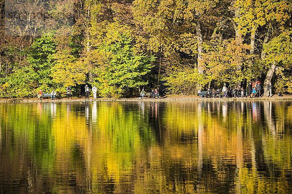 Bäume mit Herbstlaub spiegeln sich im Burger See  Schlossgarten  Nymphenburger Park  München  Bayern  Oberbayern  Deutschland  Europa