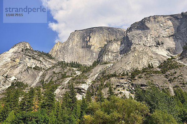Half Dome  Felswand  Westschulter  Yosemite National Park  Kalifornien  USA  Nordamerika