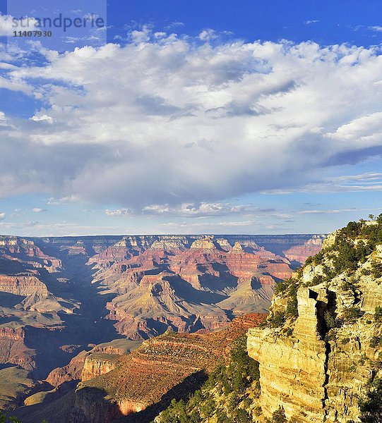 South Rim  Grand Canyon National Park  Arizona  USA  Nordamerika