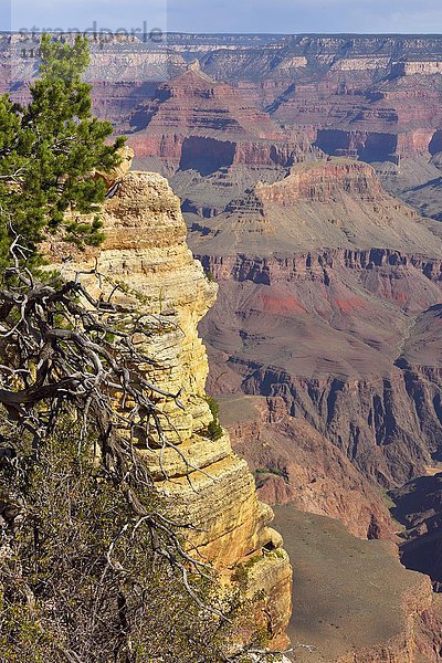 Blick auf erodierte Felsformationen  Colorado River Canyon  Grand Canyon National Park  South Rim  Arizona  USA  Nordamerika