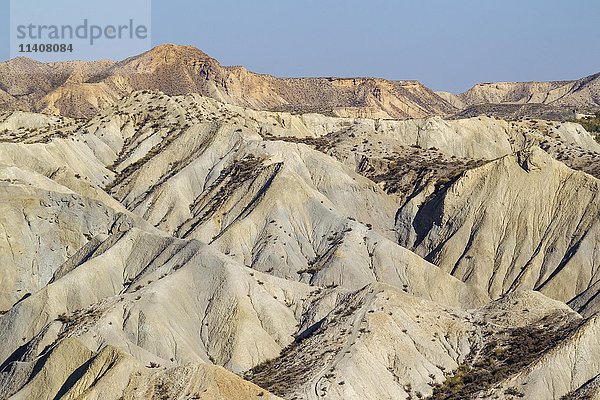 Kahle Kämme aus erodiertem Sandstein  Ödland der Tabernas-Wüste  Provinz Almeria  Andalusien  Spanien  Europa