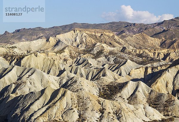 Kahle Kämme aus erodiertem Sandstein  Ödland der Tabernas-Wüste  Provinz Almeria  Andalusien  Spanien  Europa