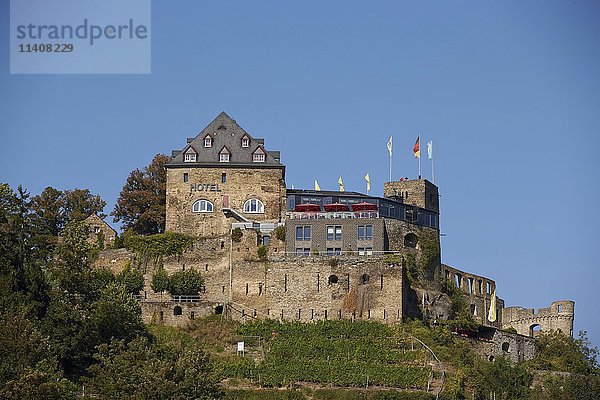 Burg Rheinfels  St. Goar  Rheinland Pfalz  Deutschland  Europa