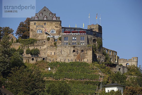 Burg Rheinfels  St. Goar  Rheinland Pfalz  Deutschland  Europa