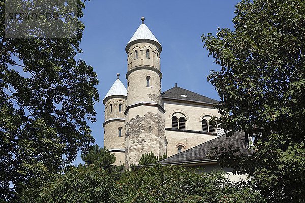 Romanische Kirche St. Pantaleon  Köln  Nordrhein-Westfalen  Deutschland  Europa