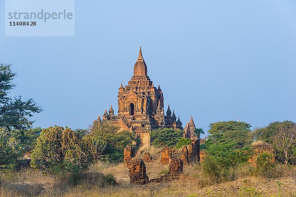 Pagoden  Tempel  Stupa  Bagan  Mandalay Division  Myanmar  Asien