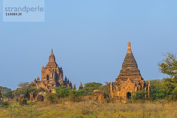 Pagoden  Tempel  Stupa  Bagan  Mandalay Division  Myanmar  Asien
