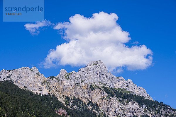 Rote Flüh  2108m  Tannheimer Berge  Allgäuer Alpen  Tirol  Österreich  Europa