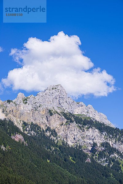 Rote Flüh  2108m  Tannheimer Berge  Allgäuer Alpen  Tirol  Österreich  Europa