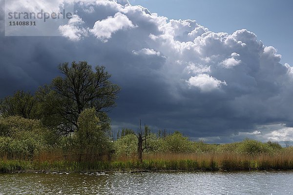 Bewölkte Atmosphäre  Fluss Trebel  Naturpark Peenetal  Mecklenburg-Vorpommern  Deutschland  Europa