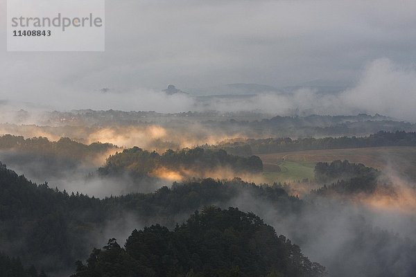 Interessantes Licht  Nebel und Wolken über dem Nationalpark Sächsische Schweiz  Sachsen  Deutschland  Europa