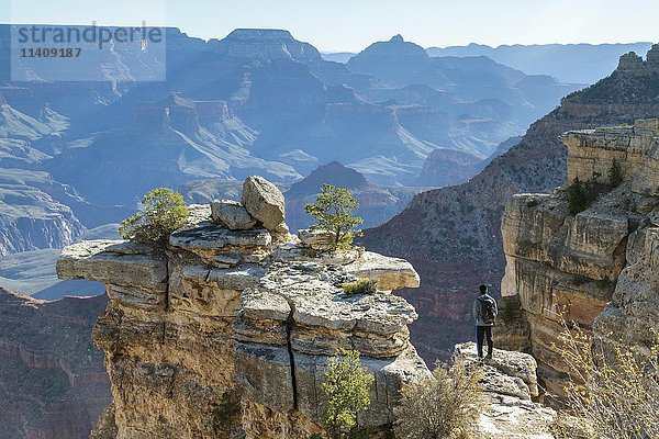 Mann auf Felsen  South Rim  Grand Canyon National Park  Arizona  USA  Nordamerika