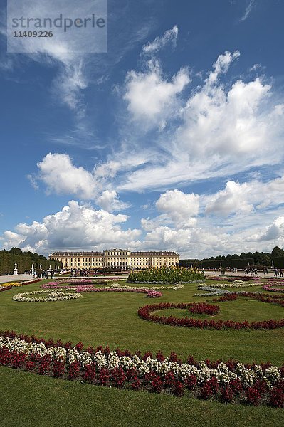 Blumenbeet im Park  Schloss Schönbrunn  Wien  Österreich  Europa