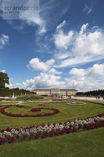 Blumenbeet im Park  Schloss Schönbrunn  Wien  Österreich  Europa