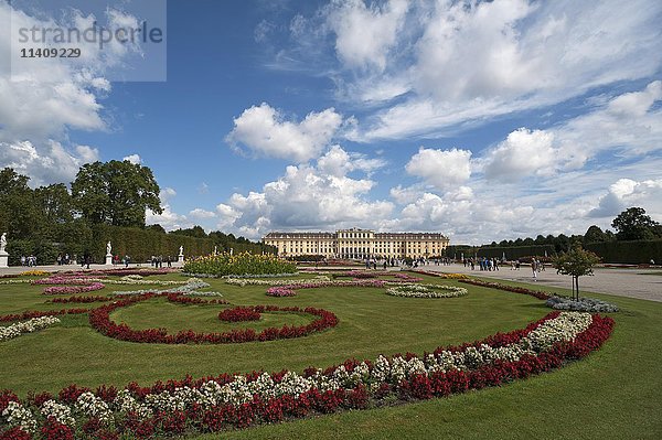 Blumenbeet im Park  Schloss Schönbrunn  Wien  Österreich  Europa