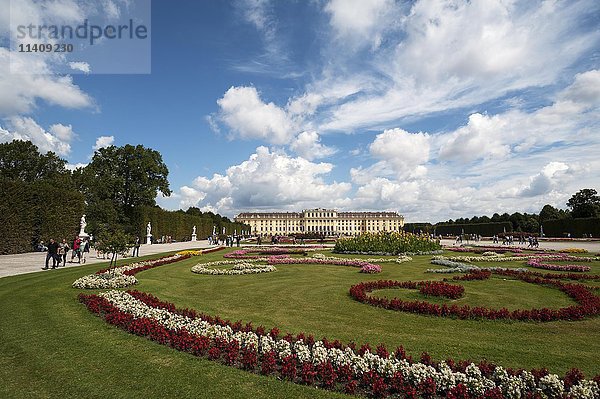 Blumenbeet im Park  Schloss Schönbrunn  Wien  Österreich  Europa