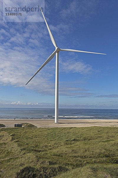 Windkraftanlage am Strand  Nordsee  Dänemark  Europa