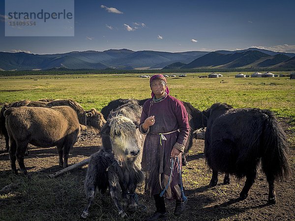 Nomade mit Yaks (Bos mutus)  Mongolei  Asien