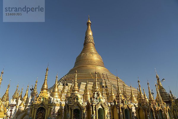 Shwedagon Zedi Daw  Shwedagon-Pagode  Yangon  Myanmar  Asien