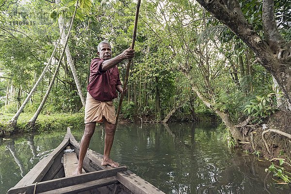 Bootsführer mit Stocherstange auf Fluss  Backwaters  Kerala  Indien  Asien