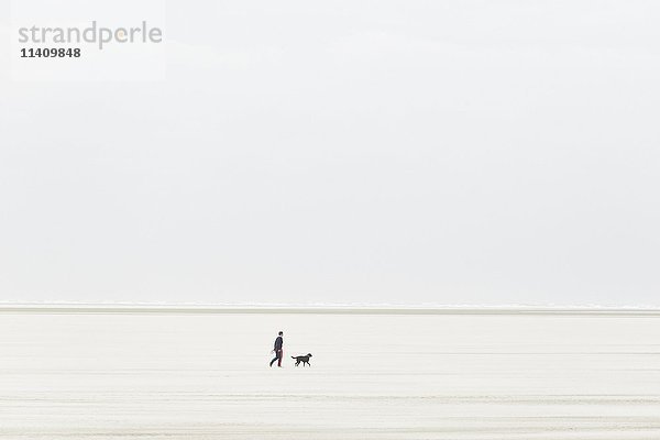 Mensch mit Hund geht bei stürmischem Wetter über die Sandbank  Sandverwehung  Sankt Peter-Ording  Nationalpark Schleswig-Holsteinisches Wattenmeer  Nordfriesland  Schleswig-Holstein  Deutschland  Europa