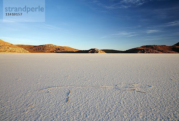 Getrockneter Salzsee  Salar de Uyuni  Altiplano  Bolivien  Südamerika