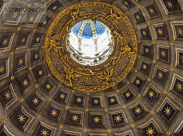 Innenraum  Kuppel des Doms von Siena  Cattedrale di Santa Maria Assunta  Siena  Toskana  Italien  Europa