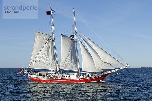 Segelschiff  Hanse Sail  Warnemünde  Mecklenburg Vorpommern  Deutschland  Europa