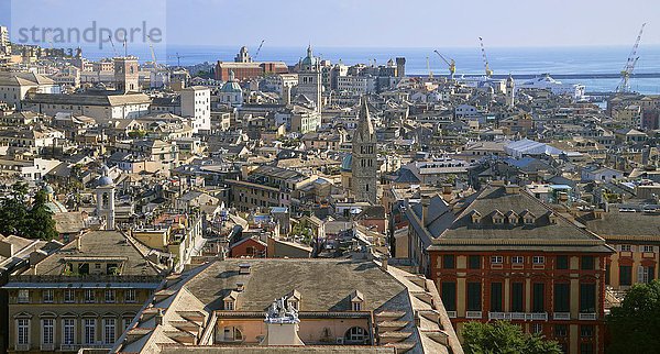 Blick auf die Altstadt  Genua  Ligurien  Italien  Europa