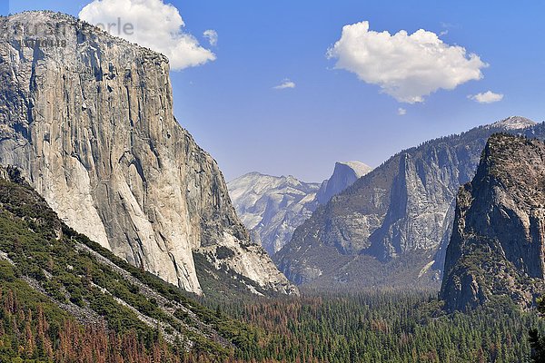 Blick auf das Yosemite-Tal  Granitfelsen  El Capitan  Half Dome  Berge  Yosemite-Nationalpark  Kalifornien  USA  Nordamerika