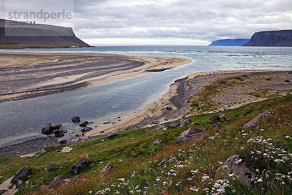 Bucht mit Oerlygshöfn bei Patreksfjörður  Westfjorde  Island  Europa