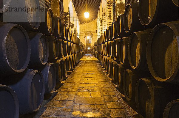 Gestapelte Eichenfässer im Weinkeller  Weinkellerei Bodega Fundador Pedro Domecq  Jerez de la Frontera  Provinz Cadiz  Andalusien  Spanien  Europa