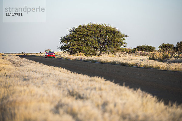 Perspektive einer modernen Asphaltstraße mit rotem Auto  das über namibische Trockengrasfelder fährt; Namibia'.