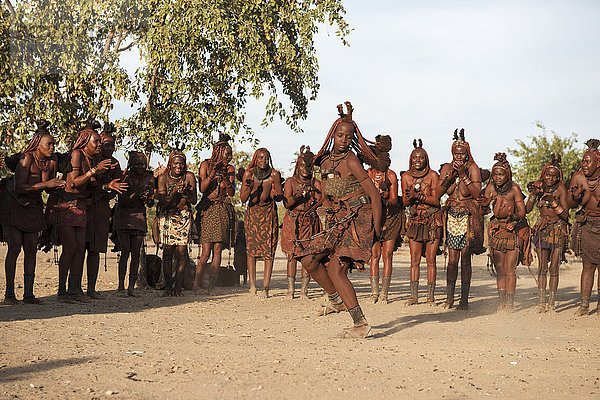 Frauen vom Volk der Himba in traditioneller Kleidung und mit Haarschnitt stehen im Kreis und tanzen ihren ursprünglichen Stammestanz; Namibia'.