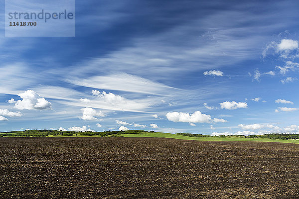 Dunkles Erdfeld mit grünen Hügeln im Hintergrund und dramatischen Wolken mit blauem Himmel  westlich von Calgary; Alberta  Kanada