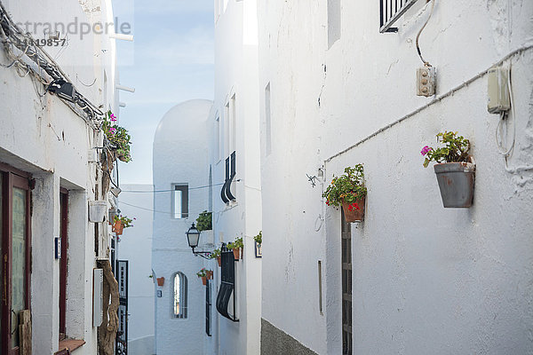 Weiße Häuser in einer Straße in der Innenstadt von Mojacar; Mojacar  Almeria  Spanien'.