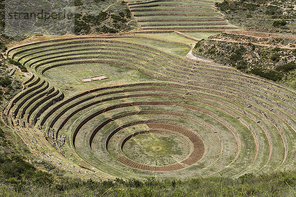 Kreisförmige Terrassen von Moray  Stadt Maras im Heiligen Tal von Peru; Moray  Cusco  Peru'.