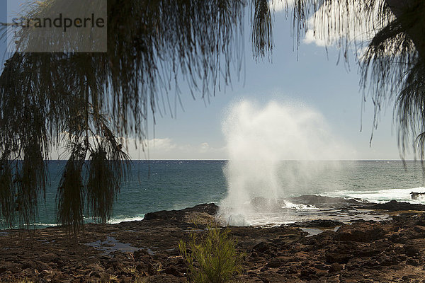 Ozeanwellen schießen durch eine Lavaröhre  Spouting Horn; Lawai  Kauai  Hawaii  Vereinigte Staaten von Amerika'.