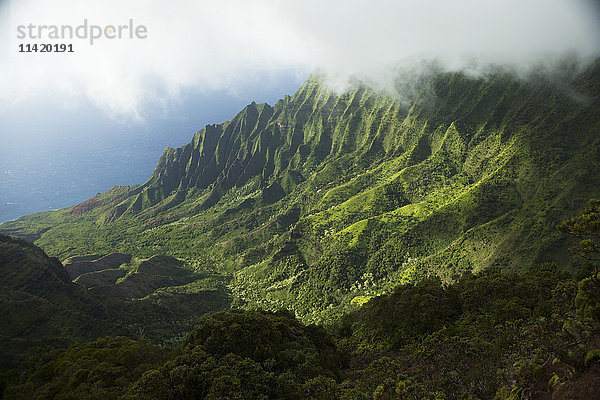 Kalalau Valley vom Waimea Canyon State Park; Kokee  Kauai  Hawaii  Vereinigte Staaten von Amerika'.