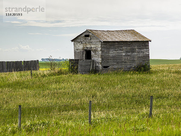 Eine verwitterte Holzscheune und ein Zaun auf einer Wiese; Alberta  Kanada'.