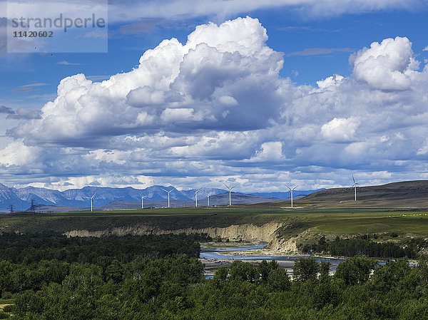 Windkraftanlagen auf einem Feld mit den kanadischen Rockies in der Ferne; Brocket  Alberta  Kanada'.