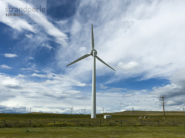 Windkraftanlagen auf Feldern unter blauem Himmel  mit Wolken; Pincher Creek  Alberta  Kanada